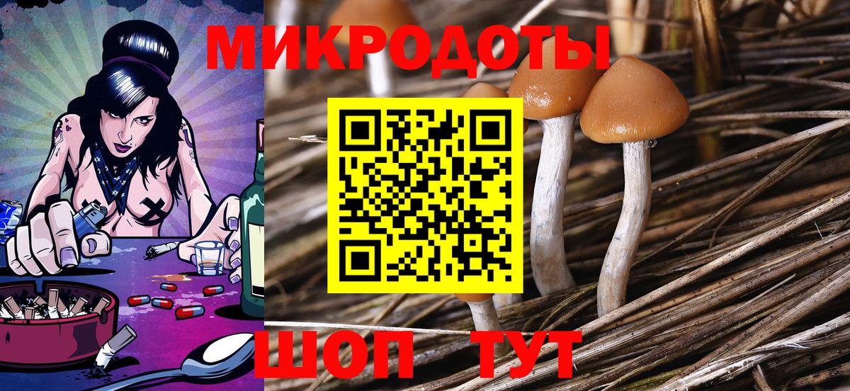 Псилоцибиновые грибы GOLDEN TEACHER  продажа наркотиков  Тосно  Вход с VPN  Псилоцибиновые грибы прущие грибы 