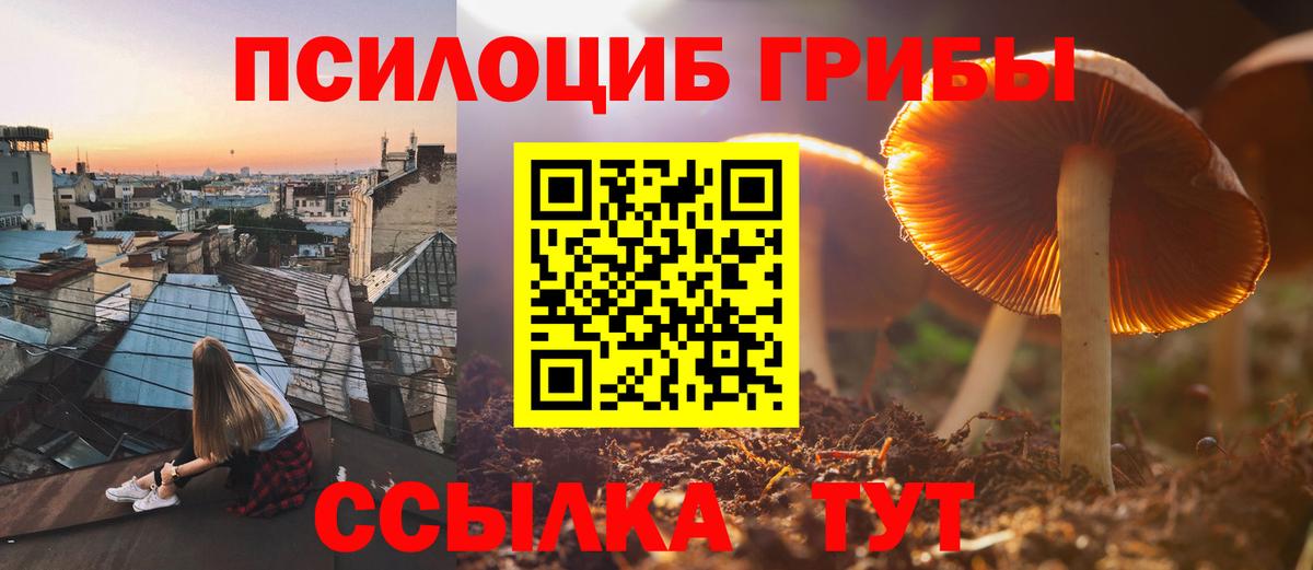 Галлюциногенные грибы ЛСД Тосно